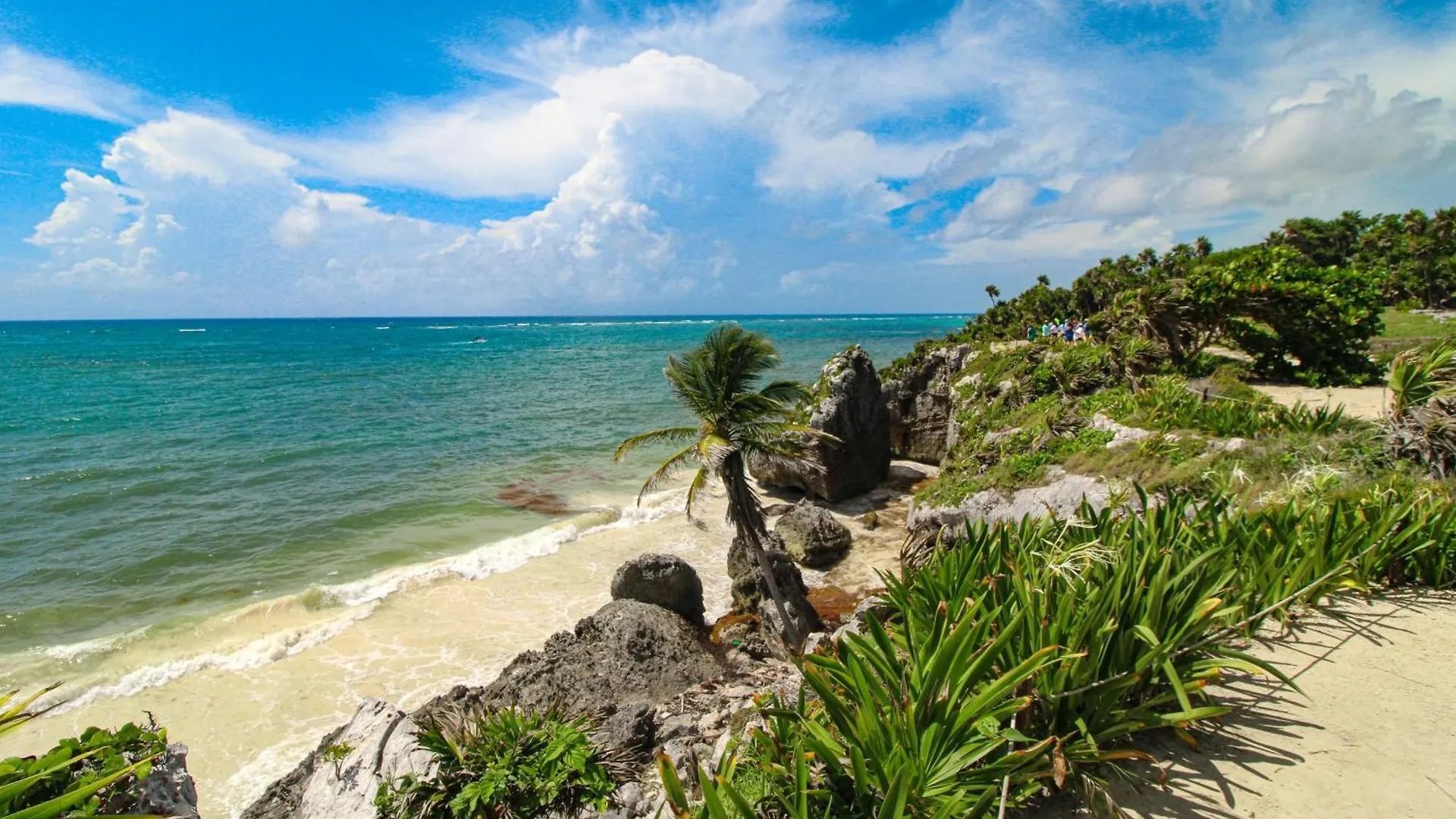 Menesse 102 At Av Coba Hotel Tulum 0*,  Mexico